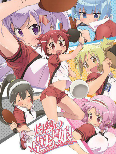 灼热的乒乓球娘