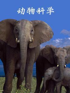 动物科学