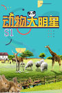 动物大明星