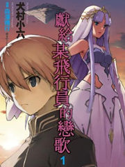 献给某飞行员的恋歌