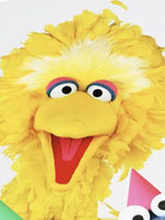 芝麻街国际版第40季