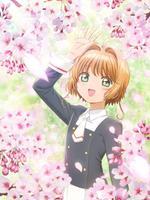 魔卡少女樱OAD 透明牌篇 序章 小樱与两只小熊