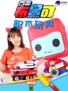 百变布鲁可积木玩具DVD