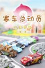 赛车总动员玩具视频