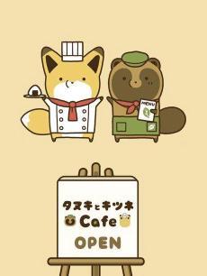 小狸猫与小狐狸DVD