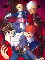 Fate stay night