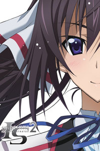 无限斯特拉托斯 一夏的回忆