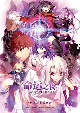 Fate stay night Heaven’s Feel